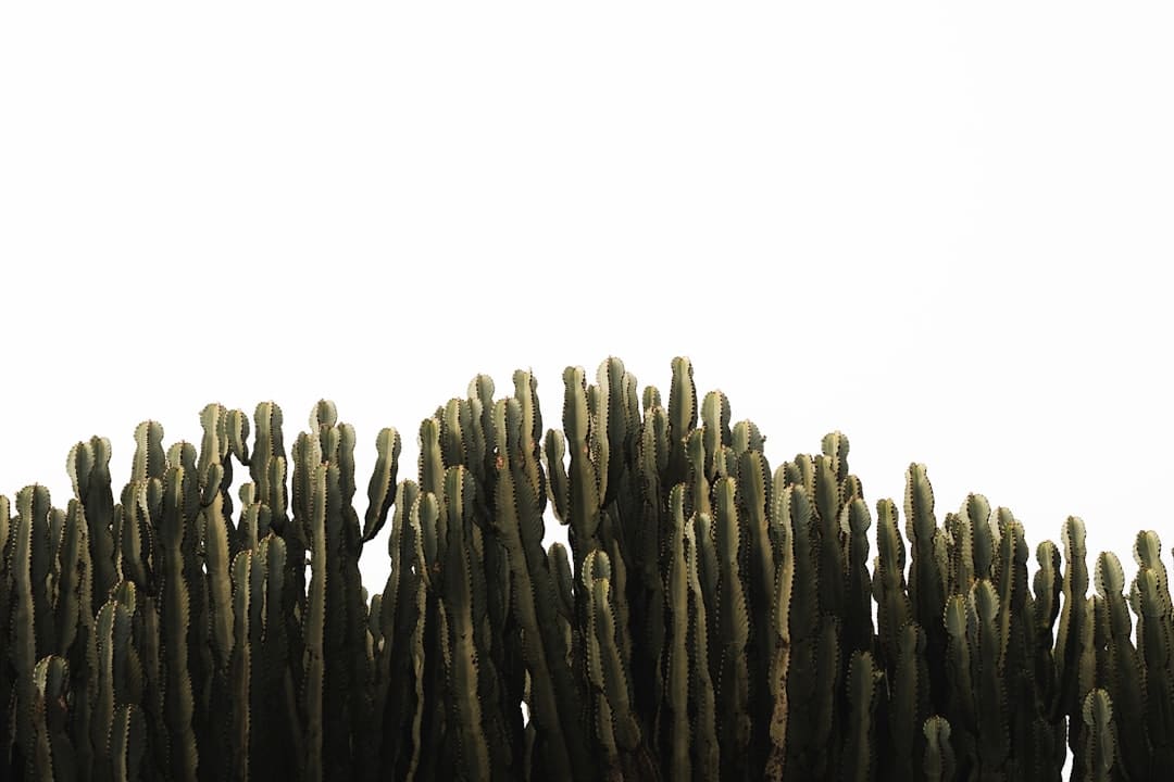 木地板泡水了怎么处理